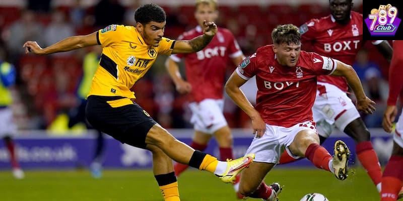 Wolves vs Nottingham Wolves vs Nottingham yếu tố ảnh hưởng